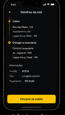 Nova coleta para entrega